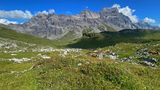 Tour de l'Arête de l'Argentine - Col des Essets 2029 m Rando 2021