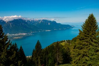 Haut-de-Caux Rando 2022