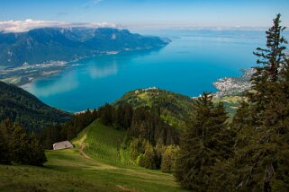 Haut-de-Caux - Le Merdasson Rando 2022