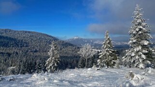 Combe de la Neige Rando 2022