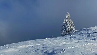 Croix de Châtel 1432 m Rando 2022