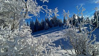 Croix de Châtel 1432 m null
