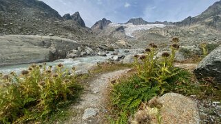 Tiefengletscher Rando 2022