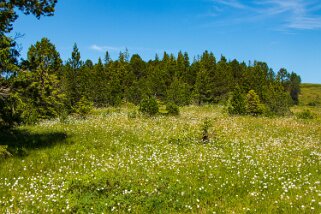 Glaubenbielen - Glaubenberg Rando 2022