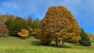 Col des Etroits Rando 2022