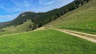 Le Chasseron Rando 2022