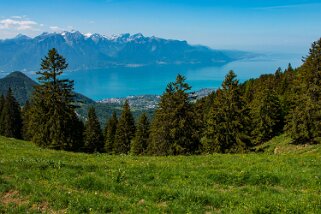 Les Pléiades - Haut-de-Caux Rando 2022