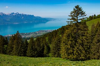 Les Pléiades - Haut-de-Caux Rando 2022