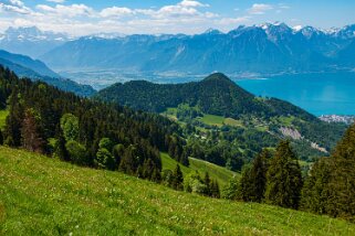 Les Pléiades - Haut-de-Caux Rando 2022