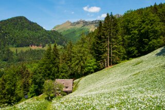 Nermont - Haut-de-Caux Rando 2022