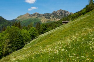 Nermont - Haut-de-Caux Rando 2022