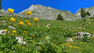 2022 Les Siernes Picaz - Les Marindes