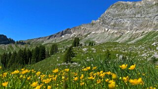 Les Siernes Picaz - Les Marindes Rando 2022