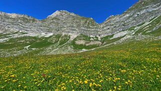 Les Siernes Picaz - Les Marindes Rando 2022