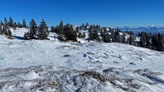 Col du Marchairuz - Servan Rando 2022