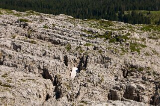 Schratteflue - Biosphère de l'Entlebuch Rando 2022