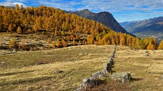 Wasenalp Rando 2022