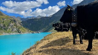 Lac de Cleuson 2179 m Rando 2022