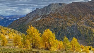 2022 Visperterminen - Simplon