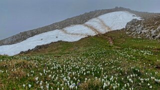 Chasseral Rando 2023