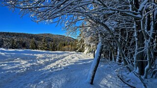 Combe de la Neige Rando 2023