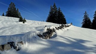 Col du Marchairuz - Grand Cunay Rando 2023