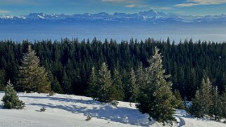 Col du Marchairuz - Grand Cunay Rando 2023