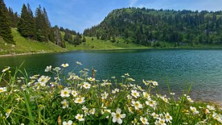 Parc naturel du Gantrisch - Oberstockensee 1666 m Rando 2023