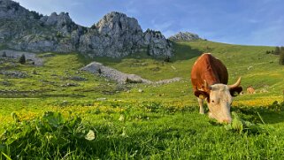 Parc naturel du Gantrisch - Oberstocke Rando 2023