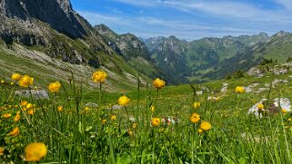 Parc naturel du Gantrisch Rando 2023