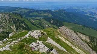 Parc naturel du Gantrisch - Homad 2076 m Rando 2023