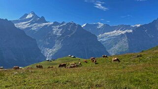 Grosse Scheidegg Rando 2023