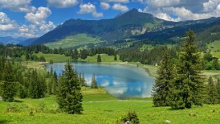 Louwenesee 1379 m null