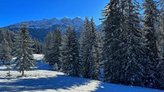 Les Mosses - Lac Lioson Rando 2023