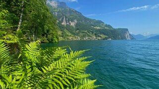 Lac des Quatre-Cantons - Bauen Rando 2023