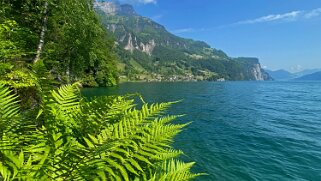 Lac des Quatre-Cantons - Bauen Rando 2023