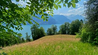 Lac des Quatre-Cantons - Bauen Rando 2023