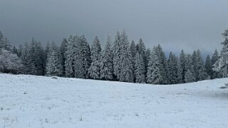 Le Chasseron Rando 2023