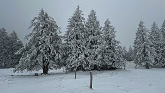 Le Chasseron Rando 2023