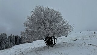 Le Chasseron Rando 2023