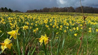 Prés-d'Orvin - Mont Sujet null