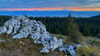 Col du Marchairuz - Mont-Tendre null