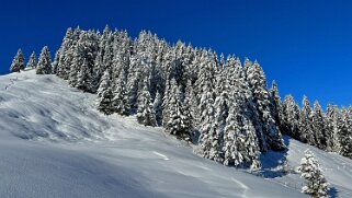 La Lécherette - Monts Chevreuils Rando 2023