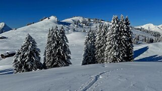 La Lécherette - Monts Chevreuils Rando 2023