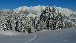 La Lécherette - Monts Chevreuils Rando 2023