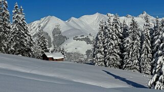 2023 Monts Chevreuils