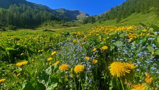 Col des Pauvres - Vallon de Nant Rando 2023