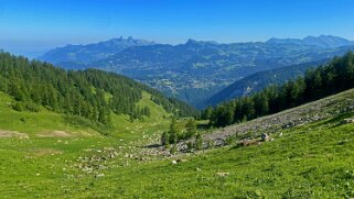 Col des Pauvres - Vallon de Nant Rando 2023