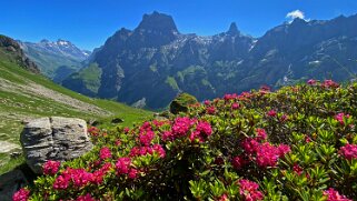 2023 Vallon de Nant
