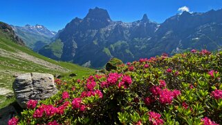 Col des Pauvres - Vallon de Nant Rando 2023